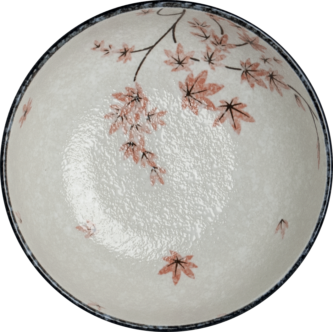 Set ciotole ramen Momiji