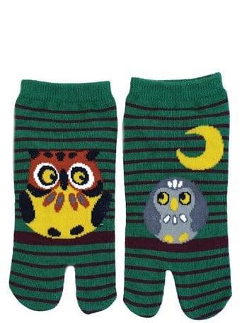 Tabi Owl (M)